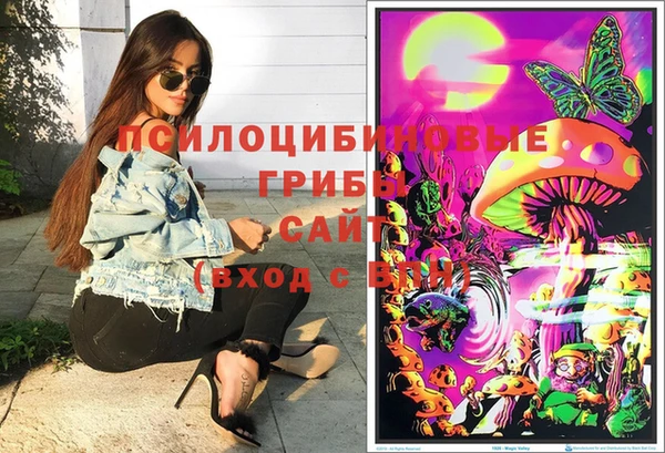 кокс Богданович