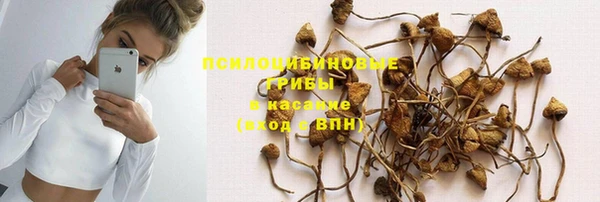 прущий лед Богородицк