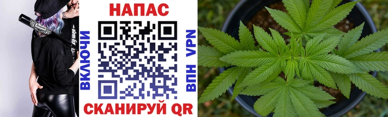 Канабис индика  Светогорск 